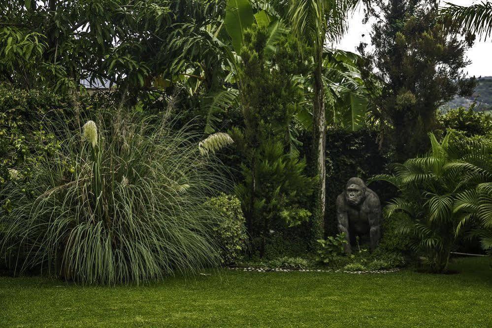 Casa Domingo Hotel Petit Miacatlán Extérieur photo